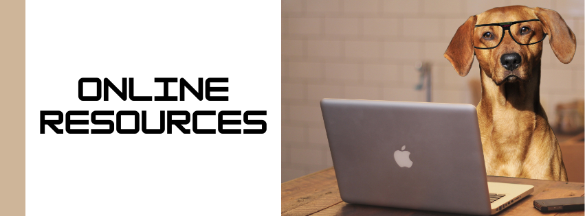 Copy of Copy of Copy of Copy of Untitled Design (5)