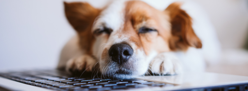 Untitled design - 2025-09-16T141608.924