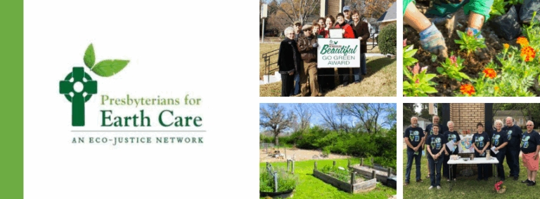 Copy-of-Copy-of-Copy-of-Untitled-Design-4-768x284