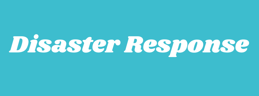Disaster Response